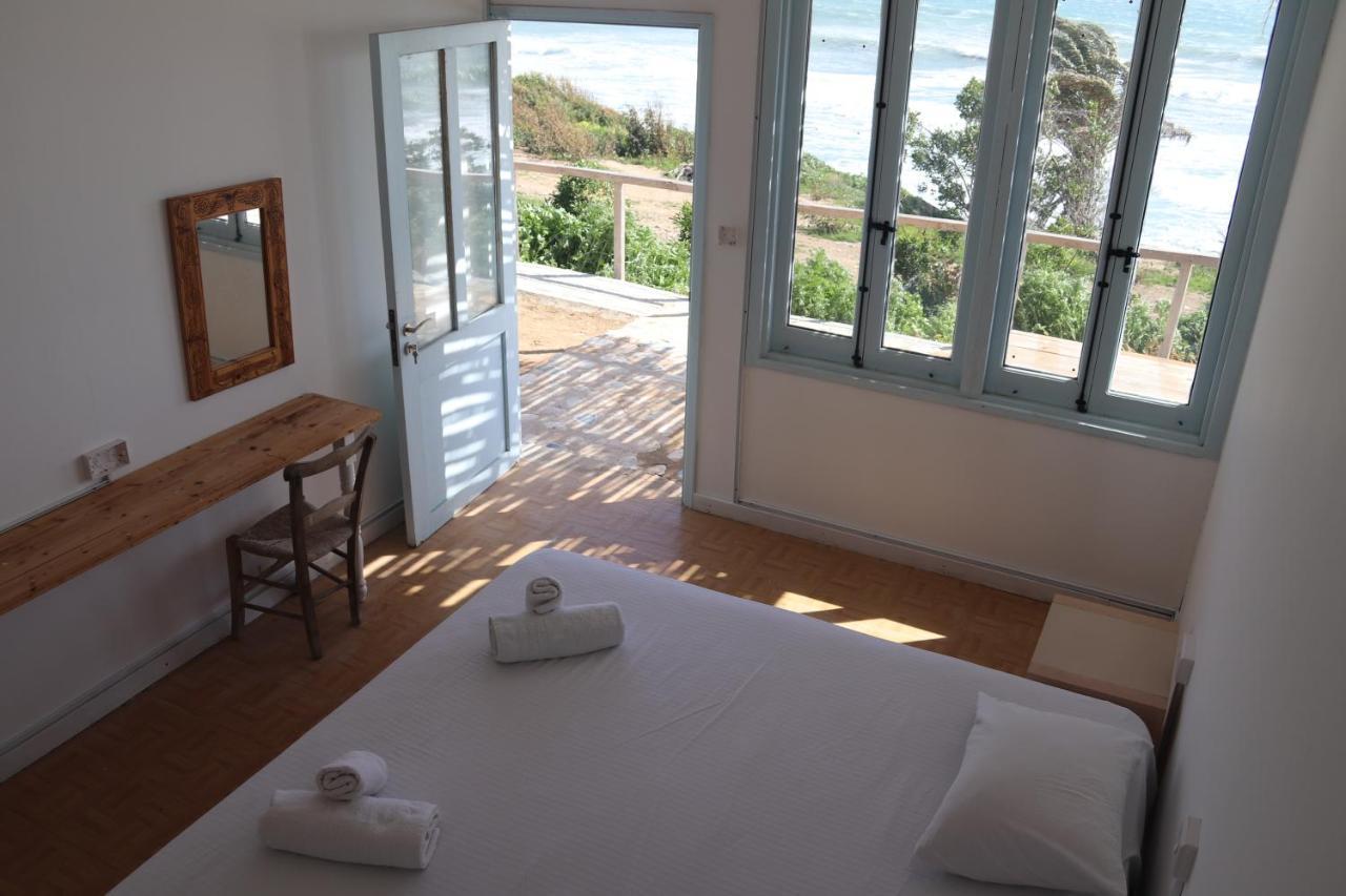 Summer Dream Cyprus Maroni Dış mekan fotoğraf