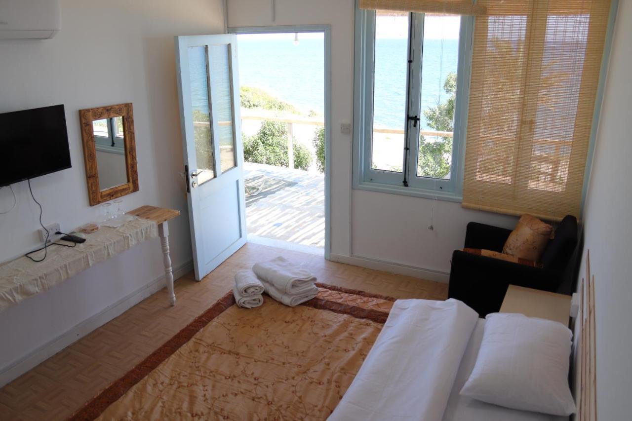 Summer Dream Cyprus Maroni Dış mekan fotoğraf