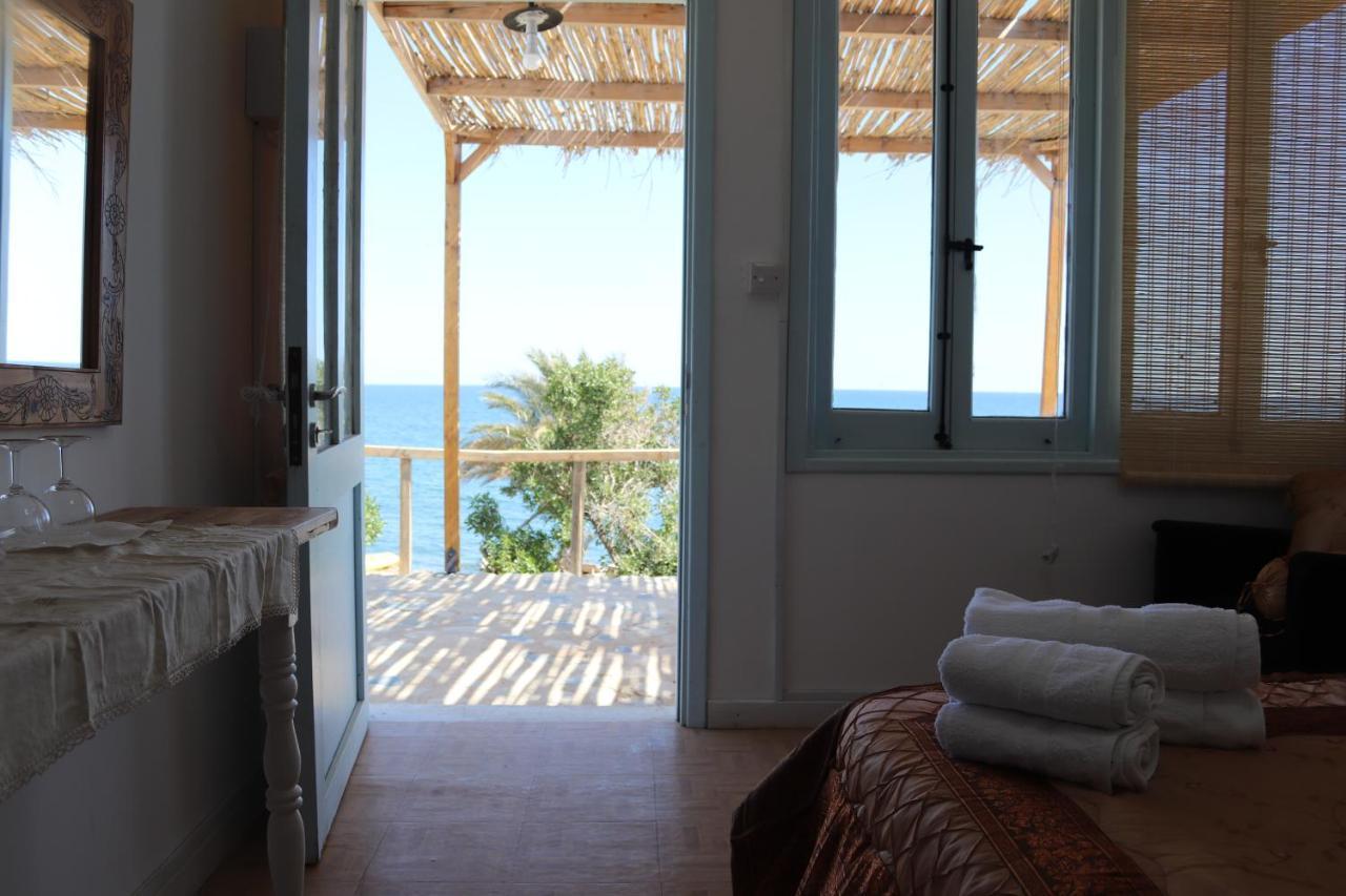 Summer Dream Cyprus Maroni Dış mekan fotoğraf
