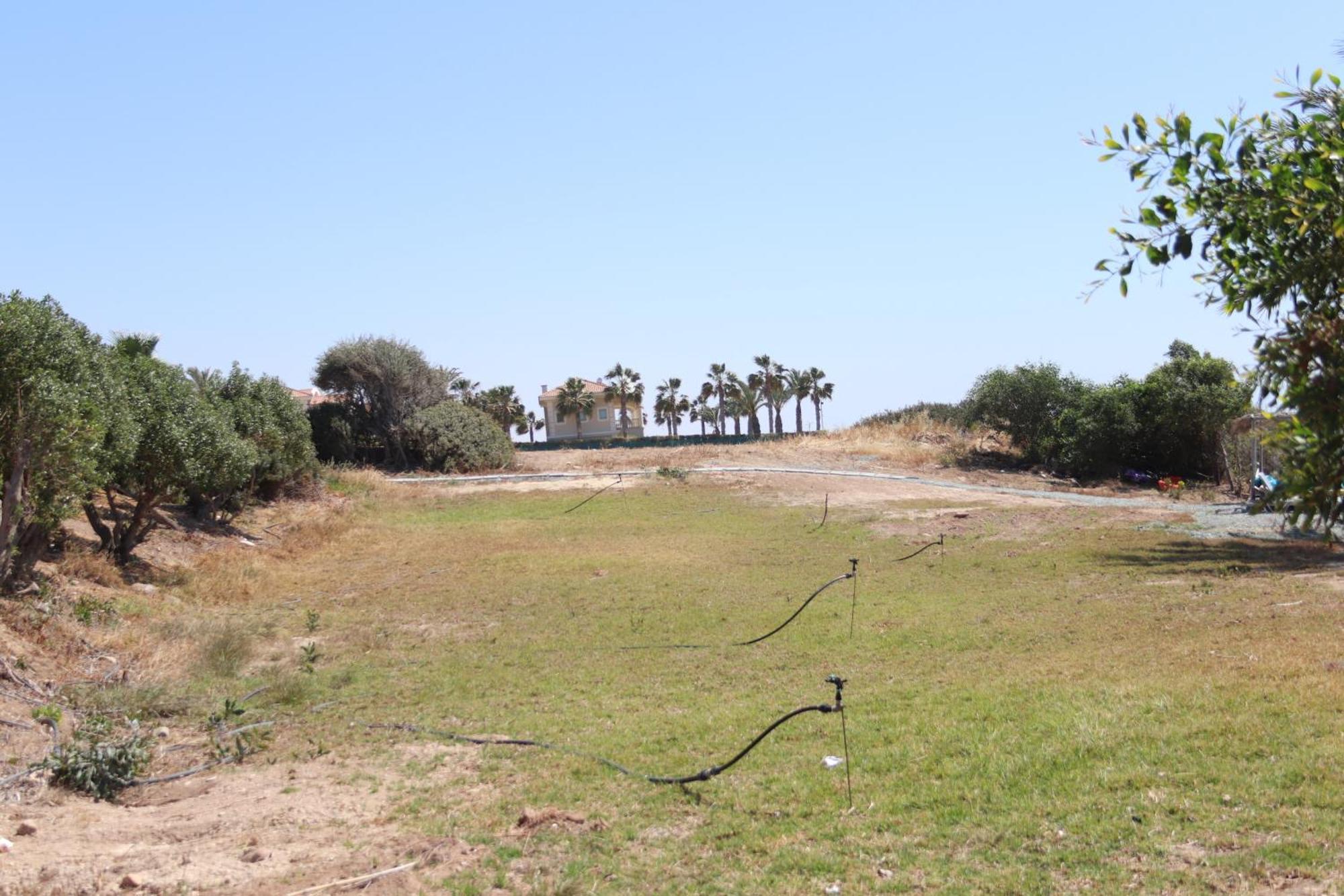 Summer Dream Cyprus Maroni Dış mekan fotoğraf
